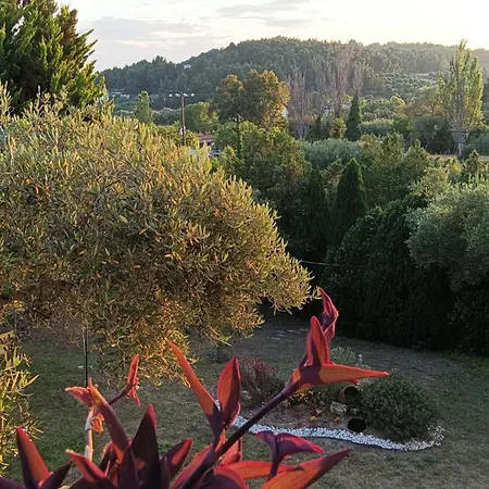Possidi Family House With Parking, Garden And Ac Holiday home Kalandra